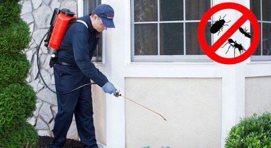 İçmeler Dezenfeksiyon böcek ilaçlama ve haşere kontrolü — ilaclama-tr.com